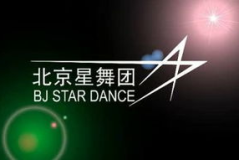 独一无二的视频大全