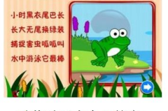 小学生谜语大全及答案动物,小学生谜语大全中的动物奥秘解析