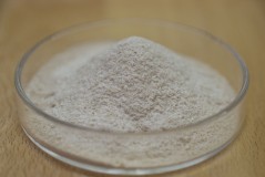 益生菌可以减肥吗？，减肥健身操